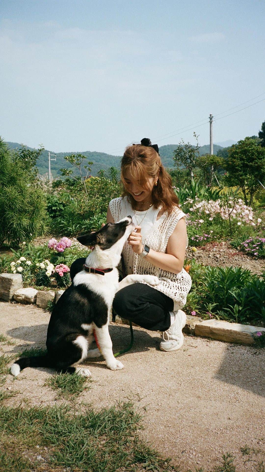 のインスタグラム：「Romanticizing 🎞️ Korea 🎞️ I finally uploaded the motherland vlog. A lot of extra love went into this one! Let me know what you think! 🥹💕」