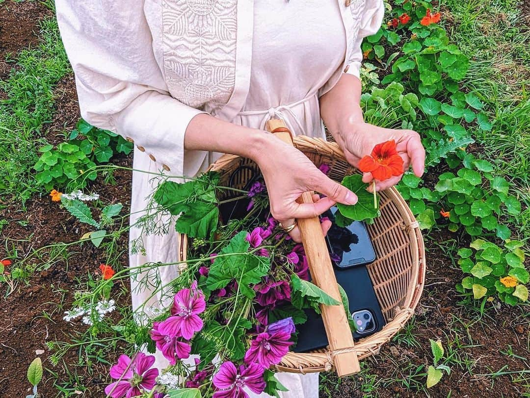 寺井幸也さんのインスタグラム写真 - (寺井幸也Instagram)「こんにちは🐝 　　　　 イベントのお知らせです😌 少し自分に迷いがあったり もやもやしているそこのあなた🙋🏻‍♂️ 少しお時間もらいますが読んでください。 　　　　 昨日イベントの詳細LIVEを したので詳しくはそちらと ( @otayukari  ゆかりさんが アーカイブ残してくれています。) 予約サイトをご覧ください。 この投稿では先日　@kurkkufields  に打ち合わせで行った時の感想を。 　　　　 　　　　 日々色んなものに取り囲まれて暮らしている中、 "素直に"生きれている人ってどれほどいるんだろう？ 人が作った価値観や、流行り、ルール、テクノロジー、 色んな情報の中で"自分"で いるってものすごい難しいと思う。 もはや"自分"なんて分からない。 って人もたくさんいるのでは？ 　　　　 ただ楽しい！を突き詰める時間も必要、 耐えて耐えぬき悶々とする時間も必要。 経験をつんで外と自分の価値観を比べながら きっと"自分らしさ"って生まれると僕は思っています。人と比べるなとよく言いますが、 中見が空っぽの時は比べたり時に人を蔑んだり羨んだりそれが人間だと思います。 　　　　 ただ、もっと視野を広げる事ができたら。 子供のように小さな幸せを感じる 心を持てていられたら。 世界はただただ美しく 自分もその一部なんだと 気づける。  @kurkkufields  は 自分が日々暮らしている小さな世界から抜け出し 地球を感じれる場所。 嘘がない自然に触れる事で 色んなものが削ぎ落とされ 本来の自分に向き合えるそんな場所だと感じました。 　　　　 今回の宿泊イベントでは ご縁を頂き、 少人数で贅沢にこの施設を 貸し切り存分に楽しみながら "衣食住"に向き合います。  "衣" @otayukari  "住、環境" @circulator_go   そして僕は"食"のプロフェッショナルとして 参加される皆さんの日々の"食"について お話しを伺い会話したりレシピのない料理を一緒に作ろうと思っています。 　　　　 すごく貴重な体験になるかと思いますので、 是非参加ください🌏🐝 　　　　 予約方法はプロフィールの URLから😌」6月10日 8時49分 - yukiya.terai