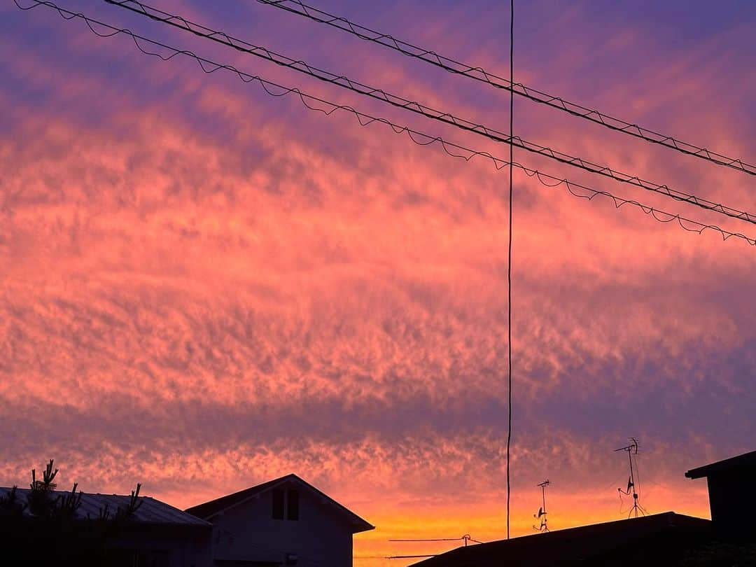 河瀬直美さんのインスタグラム写真 - (河瀬直美Instagram)「昨日の夕暮れは 世界が紅く染まり 暮れゆく群青の空と相まって、物語の中を自分が生きている…そんな感覚になりました。  そして 夜中の2時に目覚めると ハイビスカスの花が月あかりに照らされてガクの部分が輝きを放っていた。  ストーリーに 月あかりに照らされた ハイビスカスの艶かしさは postしておきます。  写真は無修正 この世界はコントロール不能。まやかしの噂に耳を傾けることなく、目の前の光景に自らの物語を照らし合わせ、唯一無二の人生を謳歌するのだ。  さて、 わたしはひとつ嘘(フィクション)をつきました。  それは、なんでしょう？  Last night's twilight colored the world crimson joining the setting ultramarine sky, and I was living within a story...that was how it felt.  And when I awoke at 2:00 in the middle of the night the hybiscus flower was lit by the light of the moon, and the sepals were shining bright.  I will post the luster of the hybiscus being lit by the moon in my stories.  Photos are unedited This world cannot be controlled. I won't lend my ears to ridiculous rumors, and instead shine my own story onto the scene in front of my own eyes, and enjoy my one and only life.  Well, I said one lie (fiction).  What do you think it was?  #群青の空 #紅く #今日の終わり #明日の始まり #ultramarinesky  #crimson  #endoftoday  #beginningoftomorrow」6月10日 9時05分 - naomi.kawase