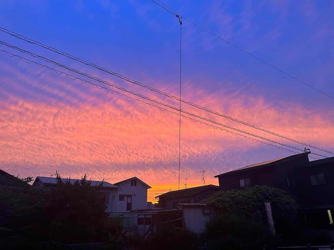 河瀬直美さんのインスタグラム写真 - (河瀬直美Instagram)「昨日の夕暮れは 世界が紅く染まり 暮れゆく群青の空と相まって、物語の中を自分が生きている…そんな感覚になりました。  そして 夜中の2時に目覚めると ハイビスカスの花が月あかりに照らされてガクの部分が輝きを放っていた。  ストーリーに 月あかりに照らされた ハイビスカスの艶かしさは postしておきます。  写真は無修正 この世界はコントロール不能。まやかしの噂に耳を傾けることなく、目の前の光景に自らの物語を照らし合わせ、唯一無二の人生を謳歌するのだ。  さて、 わたしはひとつ嘘(フィクション)をつきました。  それは、なんでしょう？  Last night's twilight colored the world crimson joining the setting ultramarine sky, and I was living within a story...that was how it felt.  And when I awoke at 2:00 in the middle of the night the hybiscus flower was lit by the light of the moon, and the sepals were shining bright.  I will post the luster of the hybiscus being lit by the moon in my stories.  Photos are unedited This world cannot be controlled. I won't lend my ears to ridiculous rumors, and instead shine my own story onto the scene in front of my own eyes, and enjoy my one and only life.  Well, I said one lie (fiction).  What do you think it was?  #群青の空 #紅く #今日の終わり #明日の始まり #ultramarinesky  #crimson  #endoftoday  #beginningoftomorrow」6月10日 9時05分 - naomi.kawase