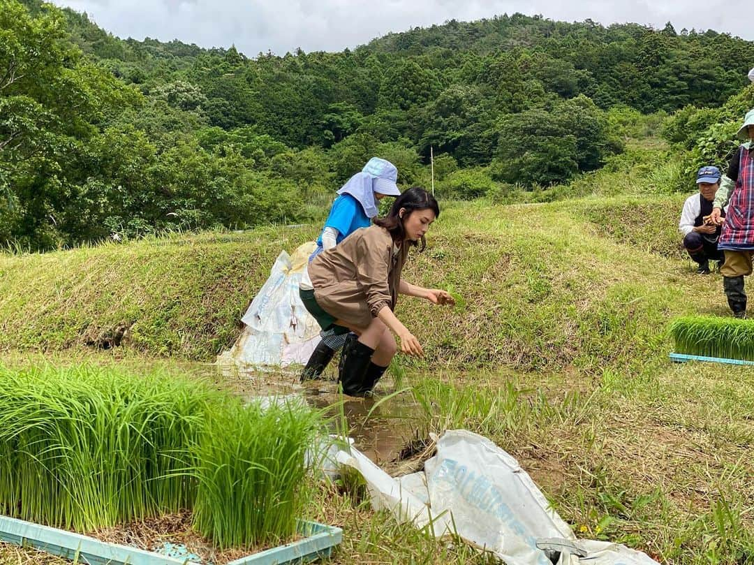 柴咲コウさんのインスタグラム写真 - (柴咲コウInstagram)「思い出深い直虎ロケ地で田植えしてきたよ🐸  稲刈りが楽しみだ🌾  #棚田 #竜宮小僧 #膝小僧 #田植え #小僧ファイブ #竜宮小僧の会 #晴れた #引佐 #大河ドラマ館  #静岡県 #浜松市 #おんな城主直虎  #直虎 #龍潭寺 #紫陽花 #モリアオガエル #アカハライモリ」6月10日 11時08分 - ko_shibasaki