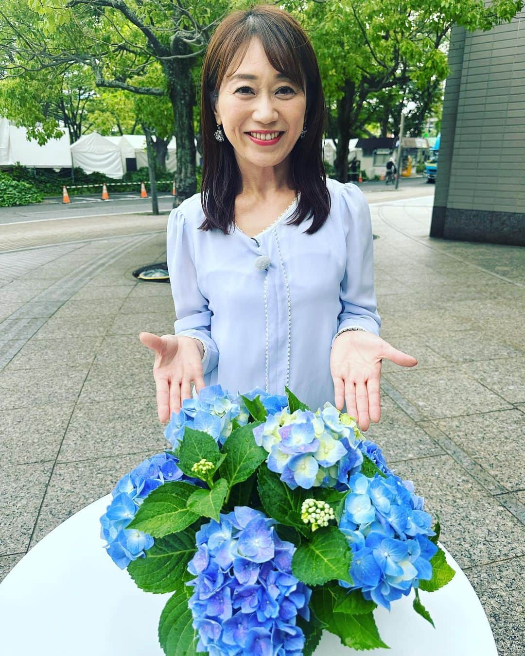 大隅智子さんのインスタグラム写真 - (大隅智子Instagram)「先日、局の玄関前から中継でお伝えしました。 話題はあじさい。 鮮やかなあじさいは一服の清涼感を感じさせてくれます。 気象台が観測しているあじさいの花、真の花を紹介しました。 小さな花です。 かき分けて見て下さい。 #あじさい　#真の花」6月10日 11時16分 - tomokotenki