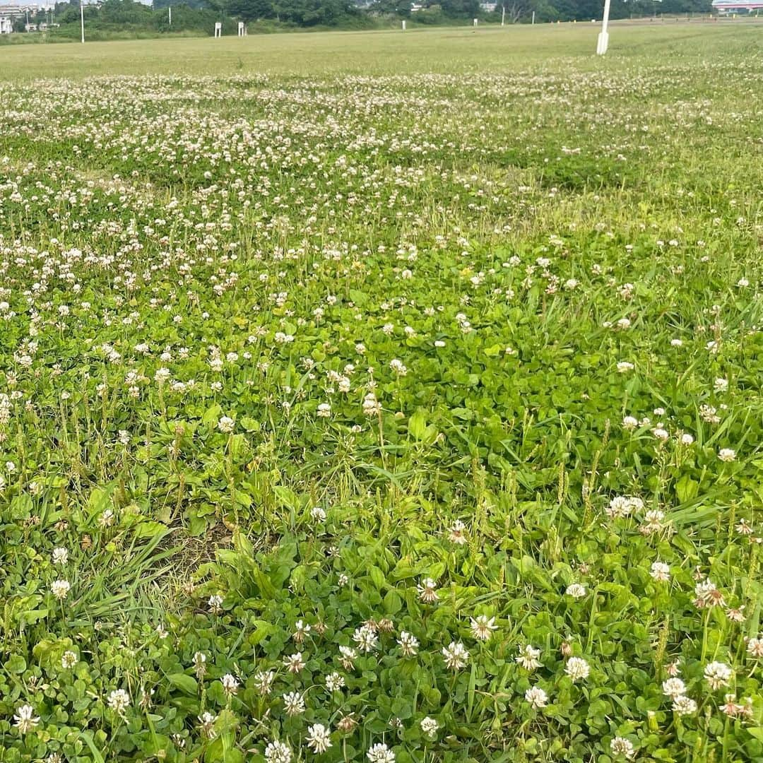 宮崎朝子さんのインスタグラム写真 - (宮崎朝子Instagram)「☀️」6月10日 22時51分 - _.asakomiyazaki