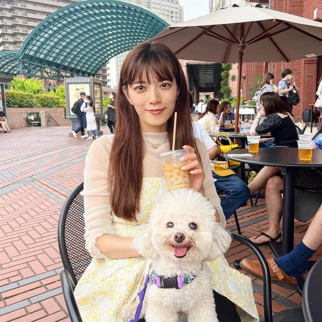 三谷紬さんのインスタグラム写真 - (三谷紬Instagram)「🐩☁️ 休日に雨ではないのは久しぶり。 お散歩に行ってカフェして。 足袋にとっても幸せな休日になったかな🥺🫶 * #犬#プードル#poodle#ティーカッププードル#teacuppoodle#クリーム#cream#足袋#お散歩#休日#すっぴん#休みの日#メイク#したくない#テレビ朝日#アナウンサー#三谷紬」6月10日 21時26分 - mitani_tsumugi