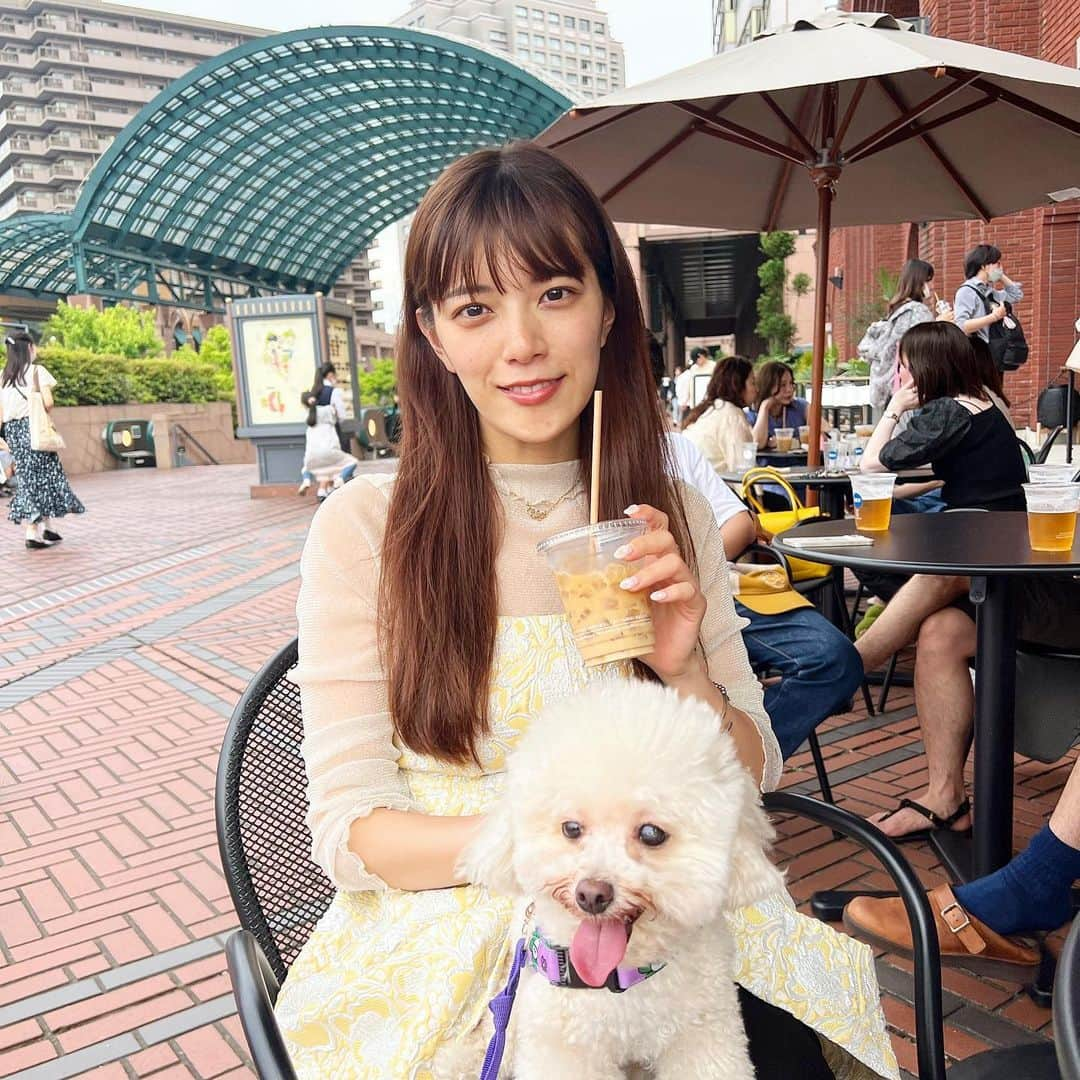 三谷紬さんのインスタグラム写真 - (三谷紬Instagram)「🐩☁️ 休日に雨ではないのは久しぶり。 お散歩に行ってカフェして。 足袋にとっても幸せな休日になったかな🥺🫶 * #犬#プードル#poodle#ティーカッププードル#teacuppoodle#クリーム#cream#足袋#お散歩#休日#すっぴん#休みの日#メイク#したくない#テレビ朝日#アナウンサー#三谷紬」6月10日 21時26分 - mitani_tsumugi