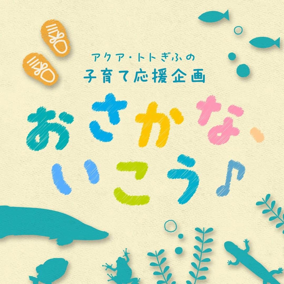 世界淡水魚園水族館 アクア・トト ぎふのインスタグラム：「子育て応援企画『おさかな、いこう♪』  肌寒い春先に続き、外へのお出かけが大変な梅雨時期も開催します！  雨がしのげる館内でお楽しみください。  【イベント情報はこちらをコピー】 https://aquatotto.com/event/schedule/detail.php?p=16866  「おもしろ飼育コラム」では企画の担当者が今回のポイントを紹介していまます。 ちょっと長いのですが、前回参加してくれた方にも見てほしい感謝の気持ちがいっぱいです。  【おもしろ飼育コラムはこちらをコピー】 https://aquatotto.com/blog-diary/detail.php?p=16879  #アクアトト #水族館 #aquarium #オアシスパーク #河川環境楽園」