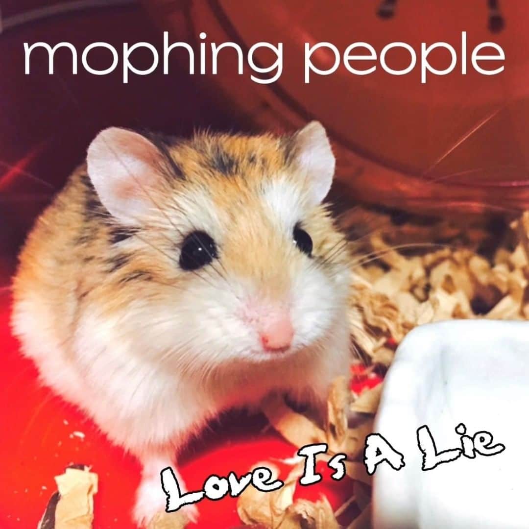 Ritsukoのインスタグラム：「📢NEWS  【2023年6月10日】  mophing people 1stフルアルバム『mppp』から  先行配信シングル「Love Is A Lie」  世界同時配信スタート！！  🎶楽曲配信サイト Spotify:  🔗https://onl.sc/HS5sjMd  apple music: 🔗https://onl.bz/ezK9peW  amazon music: 🔗https://onl.bz/R2NkY7d  🎥「Love Is A Lie」Music Video 🔗 https://youtu.be/MS93WV5xPVE  ✨✨✨✨✨✨✨✨✨✨  mophing peopleの最新アルバムからの先行配信シングル「Love Is A Lie」が配信開始されました！🌍🎉  以降発売まで隔週で先行シングルがあと2曲配信されます。  MVもそれぞれ公開になります。  リリ－スまでのお楽しみ🥰  #mophingpeople  #mppp  #LoveIsALie  #新曲配信開始  #モーフィングピープル #rumaniamontevideo #ルーマニアモンテビデオ #モンテビ #少年ナイフ #alternative #ハムスター #hamster #hamstergram #ハムスターのいる生活 #ハムスターのいる暮らし #はむすたぐらむ #ジャンガリアンハムスター #ジャンガリアン #ロボロフスキー」