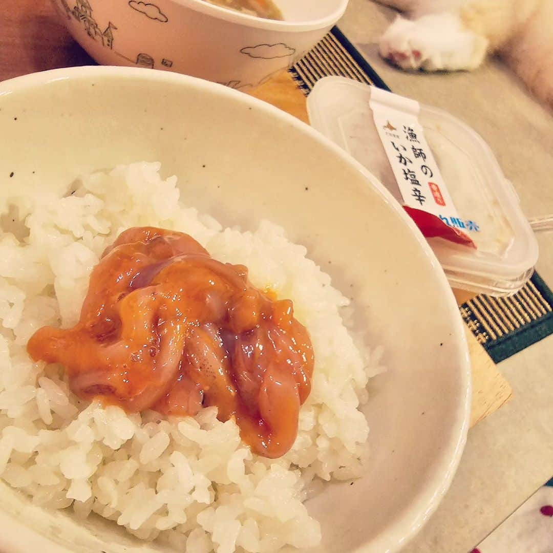 兎味ペロリナのインスタグラム：「今日のひとりおうち飯は、北海道のおみやげで買ったイカの塩辛のごはんと味噌汁、納豆🌋  イカの塩辛、幼少期の頃からめちゃくちゃ大好物で今でも好きな食べ物ランキング5位！！！  #おうちごはん #いかの塩辛 #北海道みやげ」