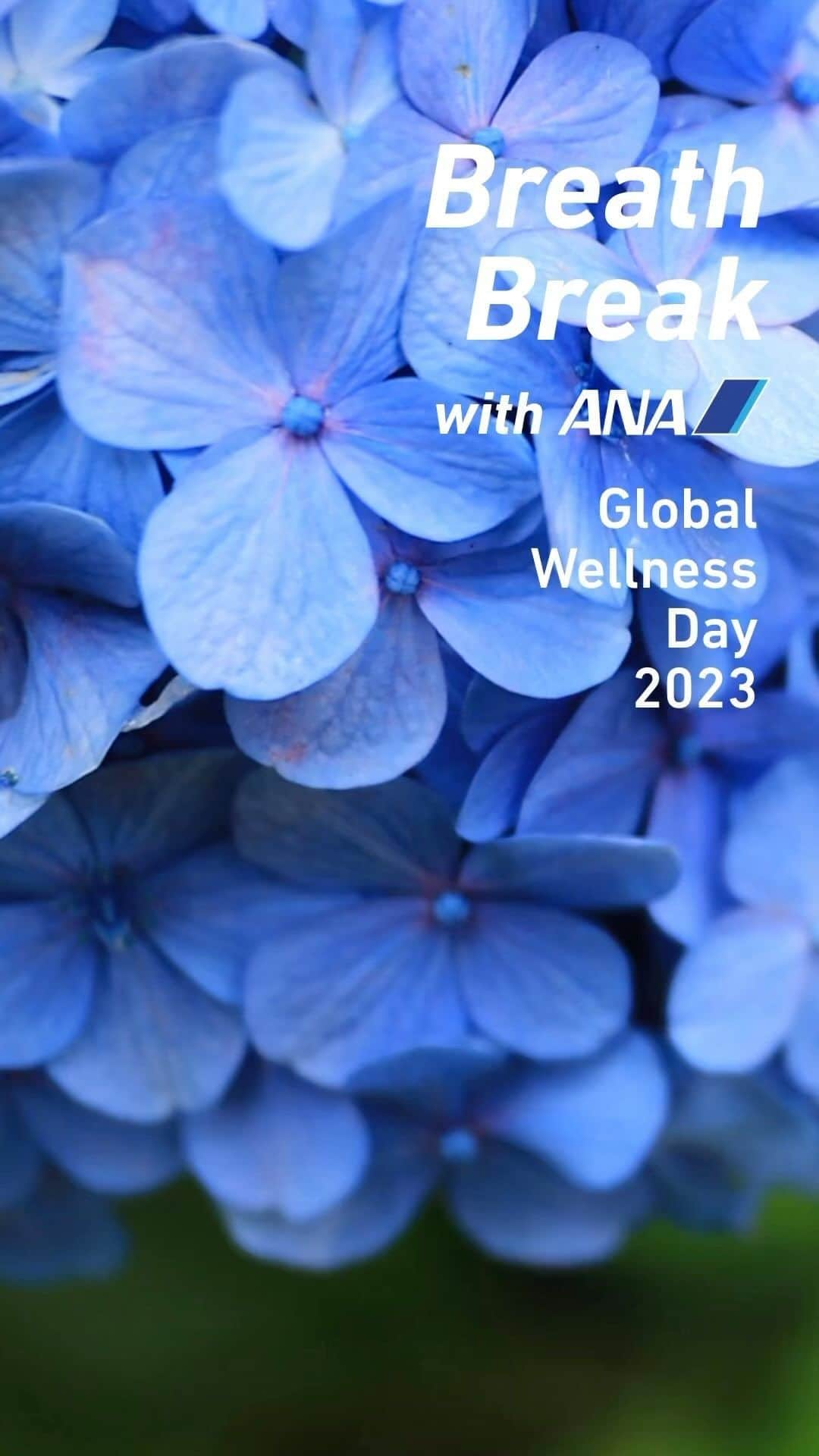All Nippon Airwaysのインスタグラム：「Breathe in… #breathe out… feel better? Take a breather with us today as we celebrate #GlobalWellnessDay.  Music by Oleg Kirilkov from Pixabay」