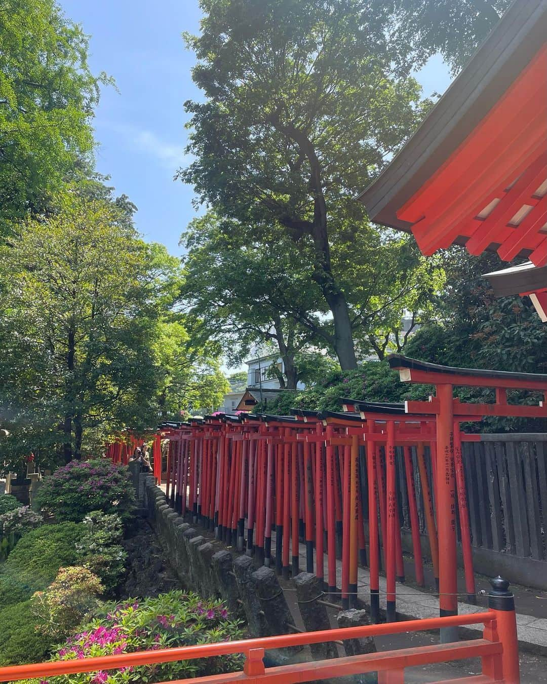 高垣かれんさんのインスタグラム写真 - (高垣かれんInstagram)「・ このワンピースの色好き❤️ 根津神社とパンケーキ🥞 . . #根津神社 #ツツジ #みじんこカフェ #被写体モデル  #モデル #レースクイーン#japanesegirl #セルフネイル#japanesemodel #时装 #오오티디 #대일리룩 #얼짱 #셀피 #漂亮」6月10日 22時31分 - tanakamanamii