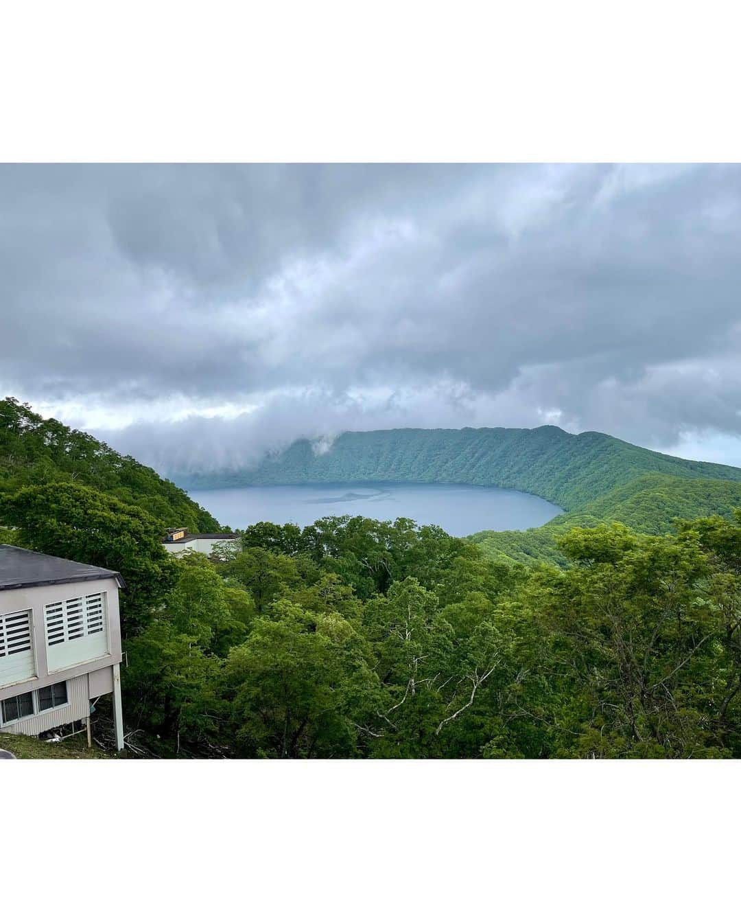 吉田健悟さんのインスタグラム写真 - (吉田健悟Instagram)「熊と鬼の住む町、登別。 　 　 道路をぶち抜く芽、パンを咥えて去る狐（右の狐は２日目に見かけたんだけど、多分同じ奴よね？） 熊をしばく親子、圧倒的な自然、俺のノーコンな投げっぷり。極楽な温泉。全てが規格外。人間、結局前へ進むしかないのだなぁ。 　 　 クマ牧場への道程をGoogleマップ先生のナビ通りに進んでたら行き止まり。 光栄なことに「大ポンコツ添乗員」の称号を母から授かりました。閻魔さま、網走にぶち込んでええですか？ 　 　 「ヒトのオリ」を見つけた瞬間、我ら親子は被り気味に言い合いました。 　 　 「アンタ入りんさい！」 　  つづく 　  #北海道」6月10日 22時40分 - kennenperm