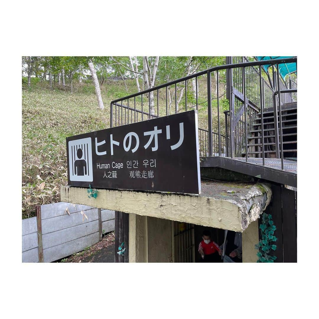 吉田健悟さんのインスタグラム写真 - (吉田健悟Instagram)「熊と鬼の住む町、登別。 　 　 道路をぶち抜く芽、パンを咥えて去る狐（右の狐は２日目に見かけたんだけど、多分同じ奴よね？） 熊をしばく親子、圧倒的な自然、俺のノーコンな投げっぷり。極楽な温泉。全てが規格外。人間、結局前へ進むしかないのだなぁ。 　 　 クマ牧場への道程をGoogleマップ先生のナビ通りに進んでたら行き止まり。 光栄なことに「大ポンコツ添乗員」の称号を母から授かりました。閻魔さま、網走にぶち込んでええですか？ 　 　 「ヒトのオリ」を見つけた瞬間、我ら親子は被り気味に言い合いました。 　 　 「アンタ入りんさい！」 　  つづく 　  #北海道」6月10日 22時40分 - kennenperm