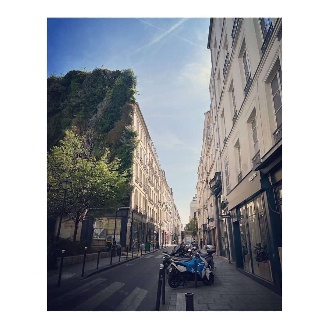 百々千晴さんのインスタグラム写真 - (百々千晴Instagram)「Oh Paris🇫🇷」6月10日 13時56分 - dodo_chiharu