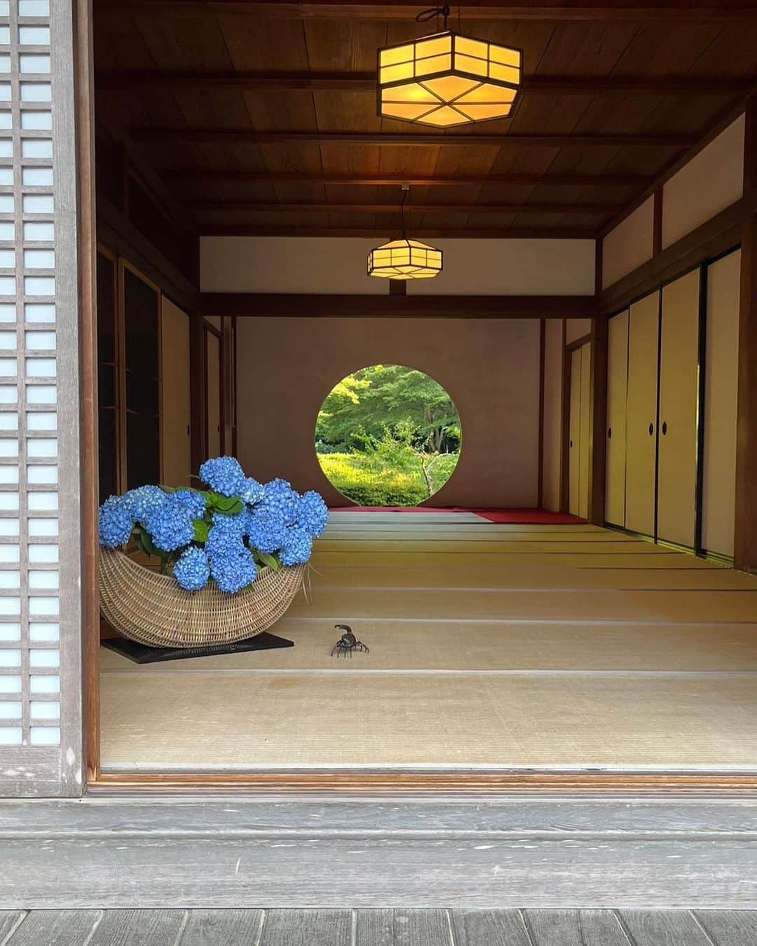 新井恵理那さんのインスタグラム写真 - (新井恵理那Instagram)「鎌倉の明月院へ行きました♪ 先週はまだ小ぶりで可愛らしい紫陽花が多かったです( ^ω^ ) これから明月院ブルーがますます鮮やかになっていくようですね♪雨の日にも行きたいなぁ( ^ω^ ) #明月院 #鎌倉 #新井恵理那 #centforce」6月10日 15時03分 - elina_arai