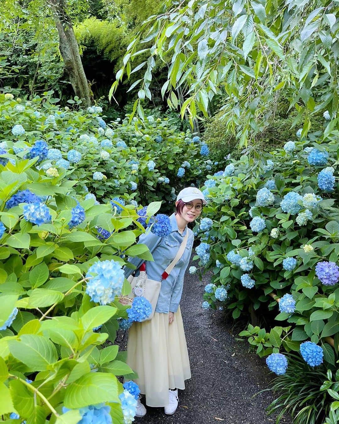 新井恵理那さんのインスタグラム写真 - (新井恵理那Instagram)「鎌倉の明月院へ行きました♪ 先週はまだ小ぶりで可愛らしい紫陽花が多かったです( ^ω^ ) これから明月院ブルーがますます鮮やかになっていくようですね♪雨の日にも行きたいなぁ( ^ω^ ) #明月院 #鎌倉 #新井恵理那 #centforce」6月10日 15時03分 - elina_arai