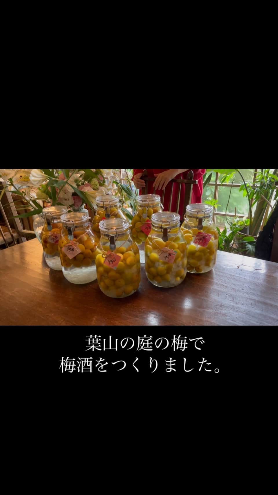 桐島かれんのインスタグラム