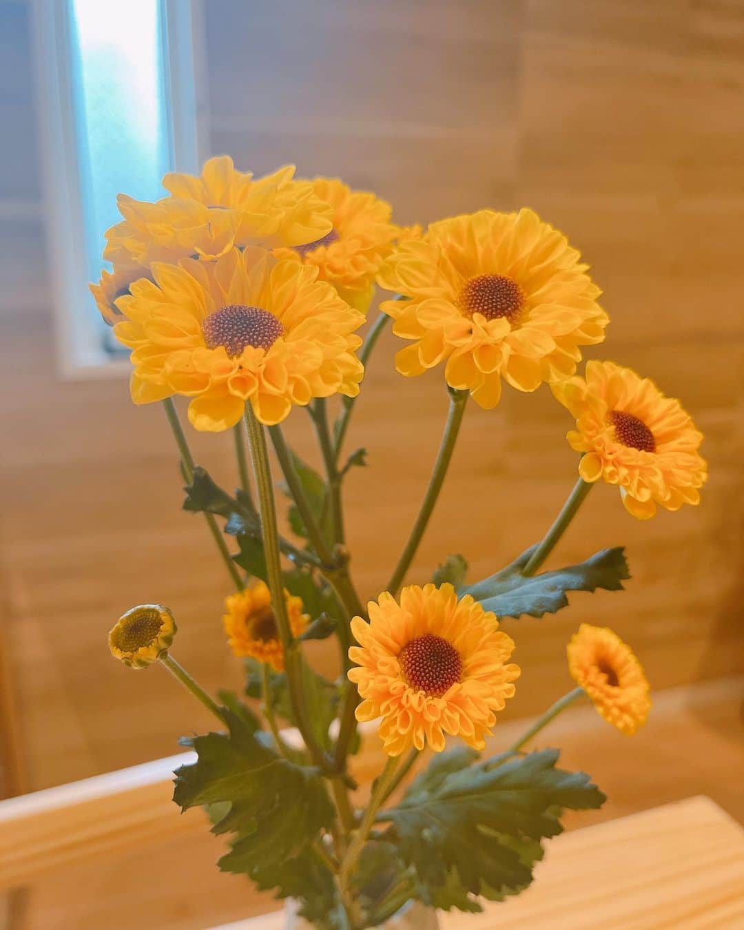 三輪晴香さんのインスタグラム写真 - (三輪晴香Instagram)「. . 嬉しいことや素敵な出来事があるとお花を買って帰るのが習慣に💐 お花を見ると自然と笑顔になれるよね☺️ そんな女性になれますように🌼  みんなはどんなお花が好き？  #花 #お花のある暮らし #笑顔が一番」6月10日 16時29分 - miwamiwa4010