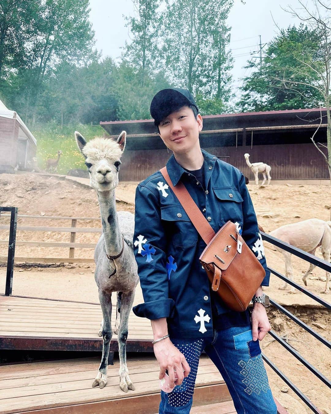 林俊傑のインスタグラム：「Tourist in Seoul 2. Alpaca World / Nami Island」