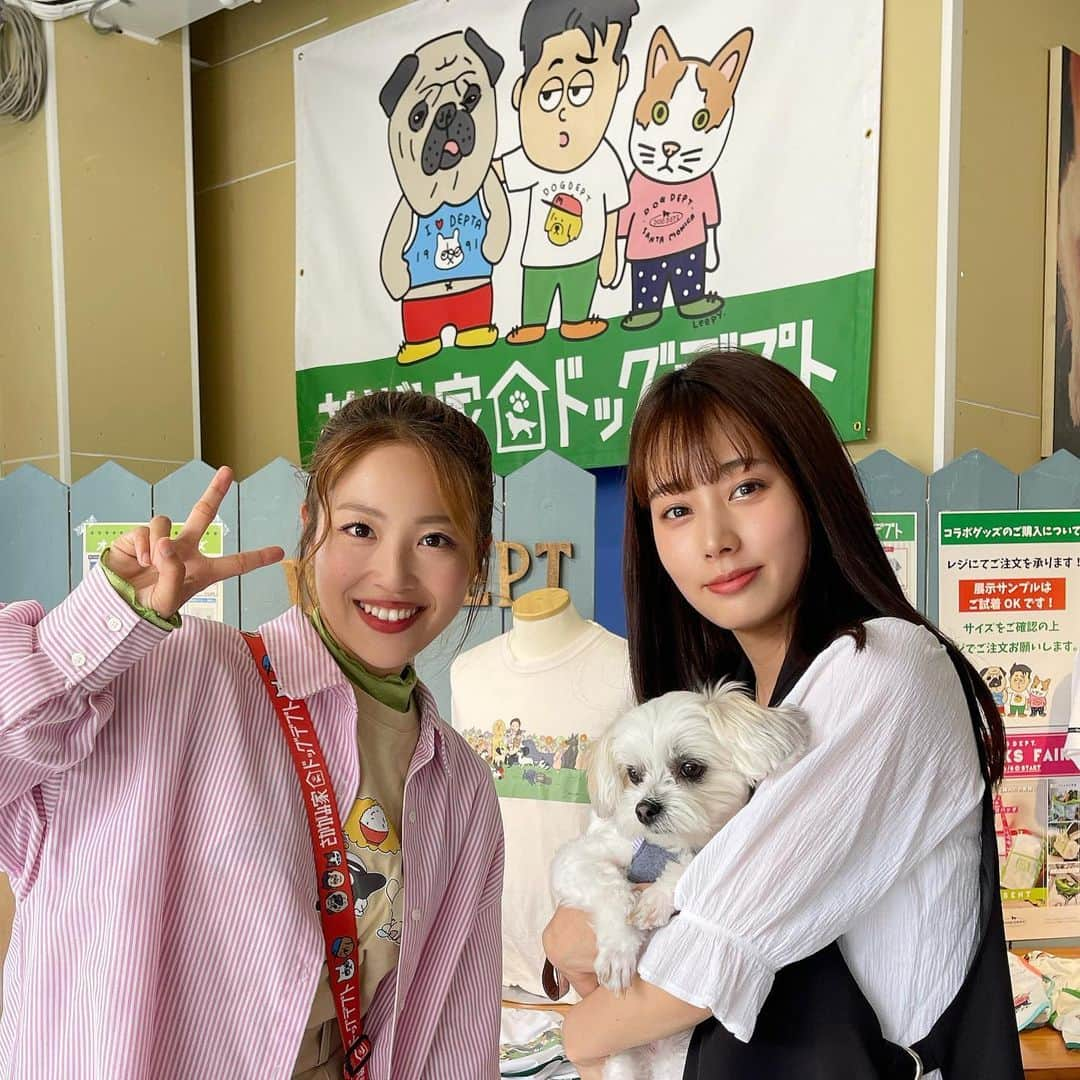 玉井らんさんのインスタグラム写真 - (玉井らんInstagram)「✨🐶さかがみ家カフェ第二弾🐶✨ . . 「DOG DEPT × さかがみ家」 コラボカフェ行ってきました〜！ . . ちゃこ、わんちゃんメニューに大喜び😂 でもちゃんとタオルの上に座ってお利口にしてた笑 . . 保護犬活動のプラスになればと、今回はさかがみ家オリジナルのお散歩バッグを購入しました🍀桑原さん、古山さんお写真ありがとうございます！ . . #さかがみ家 #坂上どうぶつ王国 #さかがみ家カフェ #木更津 #ドッグカフェ #ドッグデプト #犬とお出かけ #ペット可 #いぬのいる暮らし」6月10日 17時16分 - ran_tamai