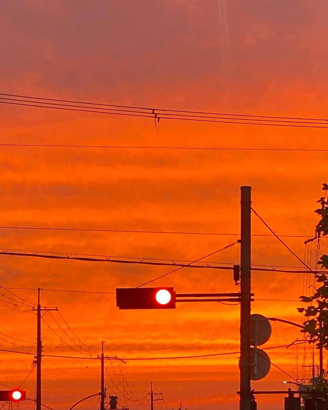 奥田恵梨華さんのインスタグラム写真 - (奥田恵梨華Instagram)「昨日見た夕焼けがすごかった。加工とかフィルターじゃなくて本当にこの色だった。 反対側の空は、水色とピンクのしましま。 こんなにオレンジの空初めて。いや、昔見たことあったかもしれないけど。 #夕焼け #空 #sunset」6月10日 23時01分 - erikaokuda_official