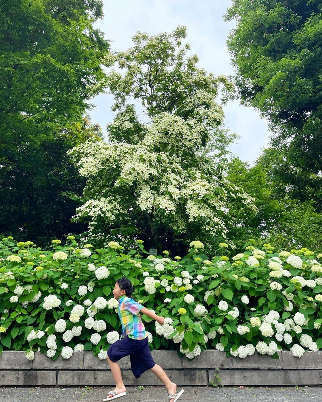 新井美穂のインスタグラム