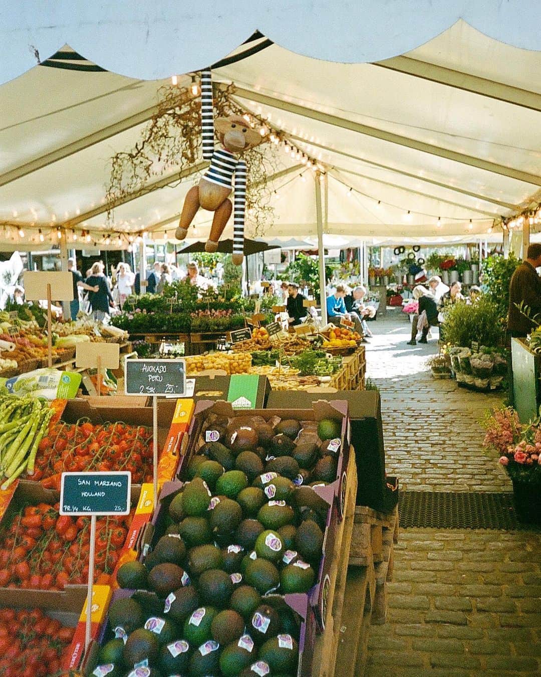 マッツノーガードのインスタグラム：「KAY stopped by Torvehallerne in Copenhagen and became a big fan of the many grocery options and food markets. KAY got a lot of attention while he was there. We understand why 👀☀️」