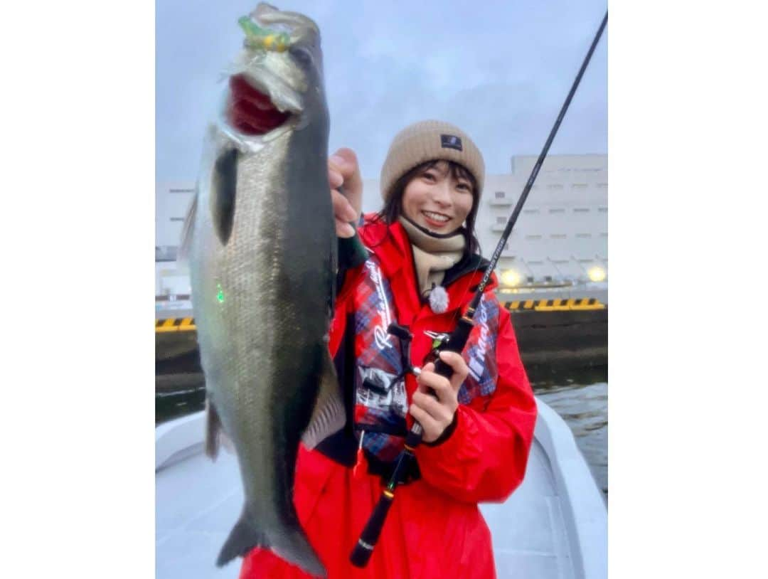 高本采実さんのインスタグラム写真 - (高本采実Instagram)「🎣 4月上旬。ソルパラTVのレギュラー出演が決まり初回ロケの日。 大阪湾へボートシーバスをしに行ってきましてね！  なんだかこの日の私は超ラッキーでした✌︎ まず、魚釣るごとに全て違う魚種で4キャッチ！（キチヌ・シーバス・キジハタ・メバル）  そして日が暮れてから釣れた魚たちはどれもビッグサイズ🤩‼️  シーバスぽくない、この魚なんやろ！？という怪しいファイトの末 顔を見せてくれたのは... 自己記録となる、余裕で50cmオーバーのキジハタ！！！ 初めて魚がデカすぎて引いたレベルww 興奮でしばらく手が震えてました😂  最近釣果が渋〜い釣りばっかりだったので 改めて大阪湾のポテンシャルを実感したのと たくさんの魚たちに癒されまくりました🥺🧡  この50オーバーのキジハタは、キャッチ&リリースしたので、大阪湾にまだおります✌︎ みんなデカアコウ狙いに釣りに行ってみてね！❤️‍🔥  ⛴️ シーマジカル ＿ ヤンヤン船長 @takayukikitazoe   . . .  #ボートシーバス #シーバス #キジハタ #アコウ #キチヌ #チヌ #メバル #大阪湾 #キャッチアンドリリース #シーマジカル #ソルパラTV #メジャークラフト #ヒロセマン #釣果 #釣り好き #釣りガール #大物ハンター #fishinggirl #钓鱼 #高本采実 #あやみん #ayamistagram」6月10日 18時03分 - ayami__summer