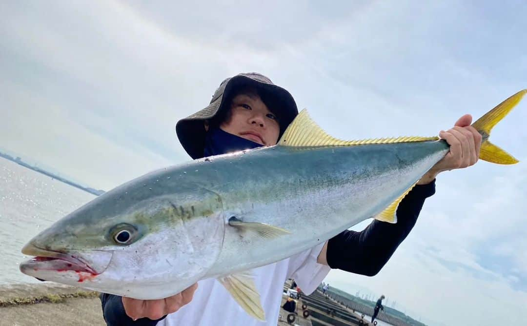 サトシさんのインスタグラム写真 - (サトシInstagram)「ブリが2匹釣れました| ‹:)⁡ 84cmと80cm。⁡ 1匹目は90cm越えてるんじゃないかなって思うほど暴れてくれて2匹目はたぶんブリやなって感じのヒキでした☆⁡ ⁡ ⁡ジャーク中のヒットとフォール中のヒットでどちらも楽しめたしなんせ2匹釣れてハッピーでした(*'ｰ'*)⁡ ⁡⁡ ⁡動画編集も楽しみです。⁡ ⁡⁡ ⁡2匹足したら自分の身長こえました。⁡ ⁡⁡ ⁡これは悲しい現実です。⁡⁡ ⁡⁡ ⁡そして釣り場でほんわか釣り倶楽部を見てくれてる方や新しく出来た友達、先輩などたくさんの出会いがあったおなかいっぱいの一日でした！ ⁡⁡ ⁡#ほんわか釣り倶楽部 #ショアジギング #青物 #釣り #南港 #釣りガール #北港 #ヤザワ渡船 #部長 #青物ハンター #釣り好きな人と繋がりたい #ツリニスト #新波止」6月10日 19時23分 - satoshi_honwaka