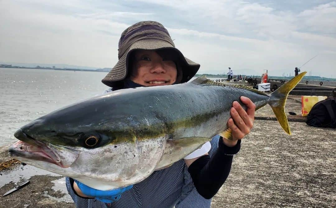 サトシさんのインスタグラム写真 - (サトシInstagram)「ブリが2匹釣れました| ‹:)⁡ 84cmと80cm。⁡ 1匹目は90cm越えてるんじゃないかなって思うほど暴れてくれて2匹目はたぶんブリやなって感じのヒキでした☆⁡ ⁡ ⁡ジャーク中のヒットとフォール中のヒットでどちらも楽しめたしなんせ2匹釣れてハッピーでした(*'ｰ'*)⁡ ⁡⁡ ⁡動画編集も楽しみです。⁡ ⁡⁡ ⁡2匹足したら自分の身長こえました。⁡ ⁡⁡ ⁡これは悲しい現実です。⁡⁡ ⁡⁡ ⁡そして釣り場でほんわか釣り倶楽部を見てくれてる方や新しく出来た友達、先輩などたくさんの出会いがあったおなかいっぱいの一日でした！ ⁡⁡ ⁡#ほんわか釣り倶楽部 #ショアジギング #青物 #釣り #南港 #釣りガール #北港 #ヤザワ渡船 #部長 #青物ハンター #釣り好きな人と繋がりたい #ツリニスト #新波止」6月10日 19時23分 - satoshi_honwaka