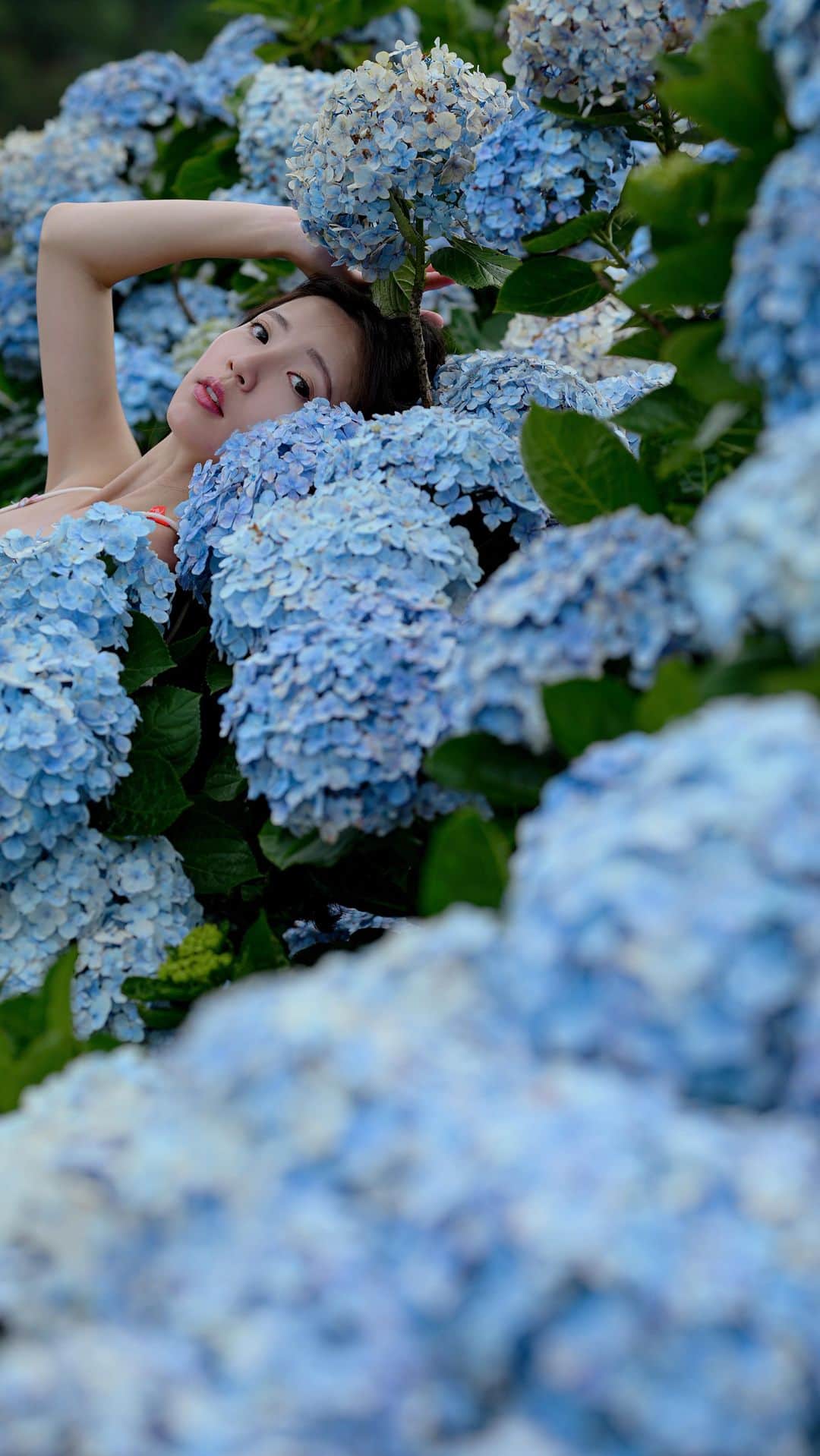 めいのインスタグラム：「cord flower💙  この動画を撮りながら、転んでしまった！その後また撮り直したの動画です😆  拍影片拍到摔倒，然後起來再繼續拍😆  ・ ・ ・　 ・ ・ ・  —  #instapic#日本#reels#寫真#portrait#사진#景色#紫陽花#커피#ポートレート#japanesegirl#beauty#japan#photo_jpn#リール#섹시#photo#taiwan#フォロー#撮影#model#view#summer#あじさい#follow#portraitsedition」