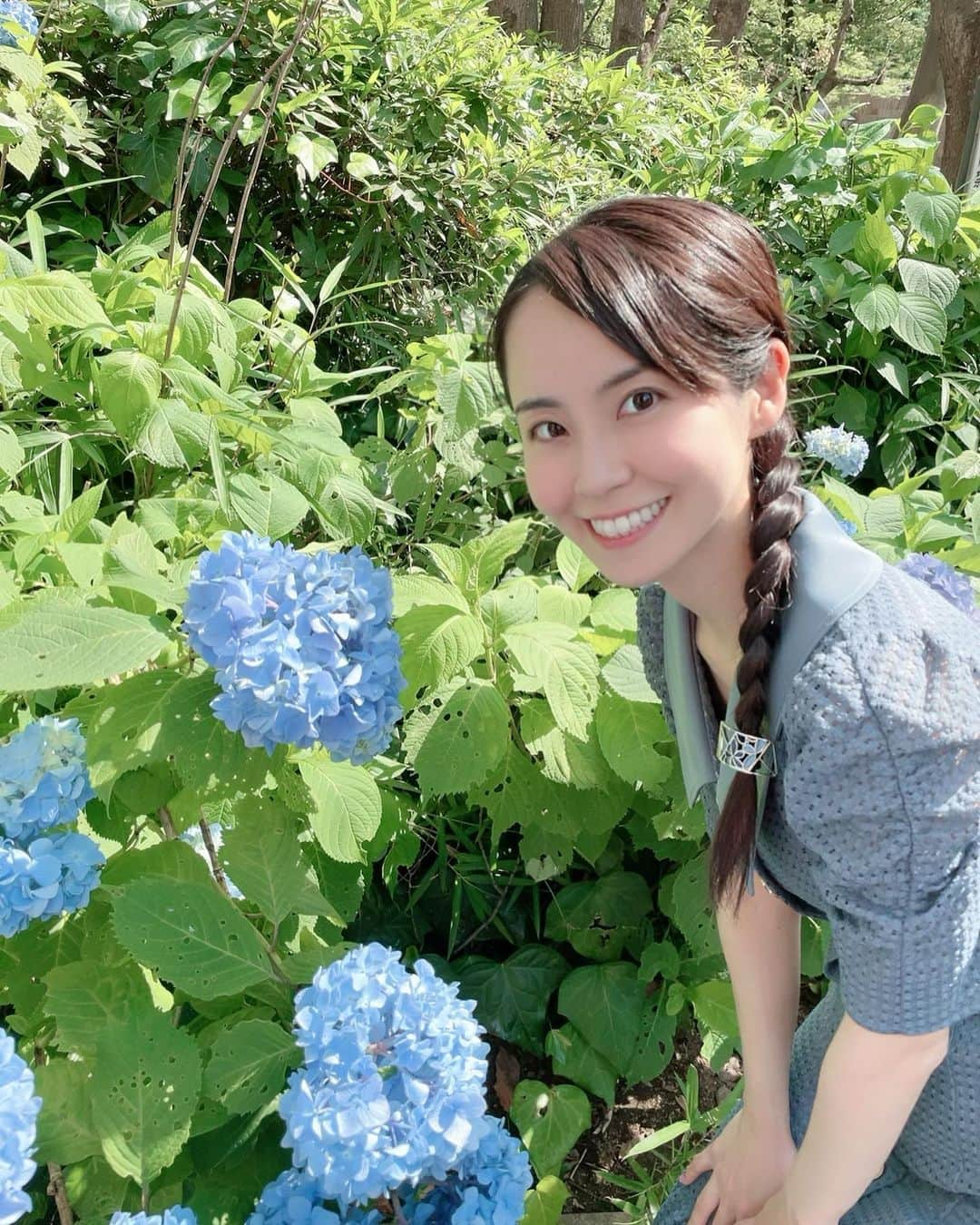 加藤美和のインスタグラム：「. Went to "Shinjuku Central Park"! Saw colorful hydrangeas and the waterfall! Also, went to a diner inside the park and drank caffeine-free tea! Was a good scent! . . 「新宿中央公園」へ🍀 カラフルなアジサイや 「新宿ナイアガラの滝」を見たり〜✨  公園内の「SHUKNOVA（シュクノバ）」の 「むさしの森 Diner」では… ポット提供で、ノンカフェインの 「7種のフルーツガーデン」を いただいたり〜🎶 良い香りで、たっぷり水分補給も🫖  緑豊かな公園で、空気も綺麗で リフレッシュできました〜😃✨ . @miwakato_ ←他の投稿はコチラ . #shinjukucentralpark #park #shinjuku #tokyo #hydrangea #waterfall #diner #新宿中央公園 #公園 #新宿 #東京#紫陽花 #あじさい #アジサイ #むさしの森diner」