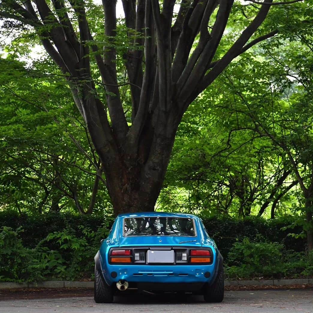 Z李さんのインスタグラム写真 - (Z李Instagram)「夏の緑ドライブ。 ---------- #fairladyz #carphotography  #jdmgram #jdmculture #jdmlife #datsun  #jdmnation #jdmlifestyle #zociety #fairladyz #旧車」6月10日 19時39分 - kiss0fthedrag0n