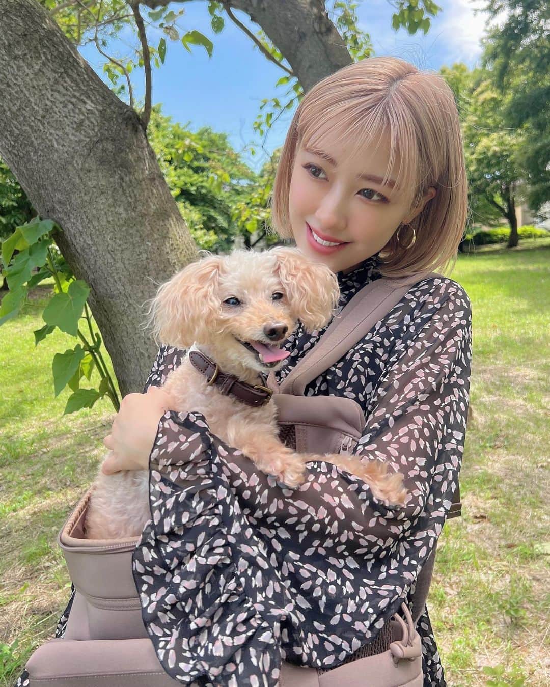 夏焼雅さんのインスタグラム写真 - (夏焼雅Instagram)「🐶🤍  ぴーちゃんは16歳になって お散歩中に抱っこしたり 歩いたりが最近増えてきたの🐩  2.8キロのぴーちゃんでも ずーっと抱っこしてるのは 意外と疲れるので。。🤭 @citydog_official の リュックでとても助かってます✨  カラーもシンプルなデザインで オシャレでお気に入りなんだぁ〜♡ @peace.happy.peace 🤍🪽  #citydog_jp  #シティードッグ」6月10日 19時43分 - miyaaa0825