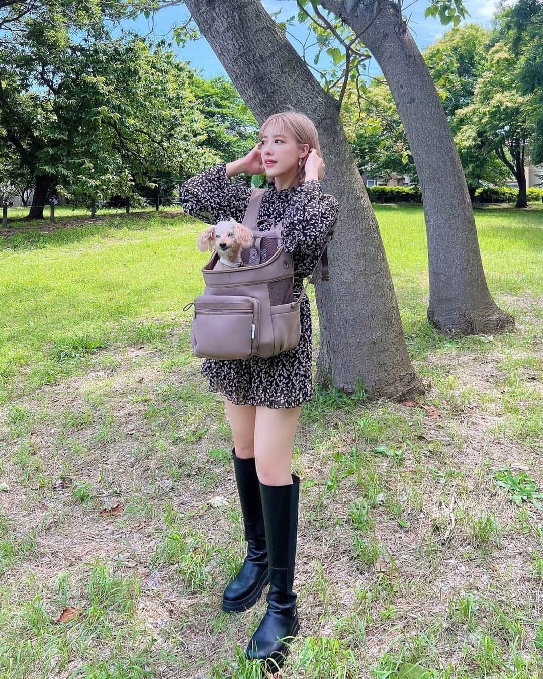 夏焼雅さんのインスタグラム写真 - (夏焼雅Instagram)「🐶🤍  ぴーちゃんは16歳になって お散歩中に抱っこしたり 歩いたりが最近増えてきたの🐩  2.8キロのぴーちゃんでも ずーっと抱っこしてるのは 意外と疲れるので。。🤭 @citydog_official の リュックでとても助かってます✨  カラーもシンプルなデザインで オシャレでお気に入りなんだぁ〜♡ @peace.happy.peace 🤍🪽  #citydog_jp  #シティードッグ」6月10日 19時43分 - miyaaa0825