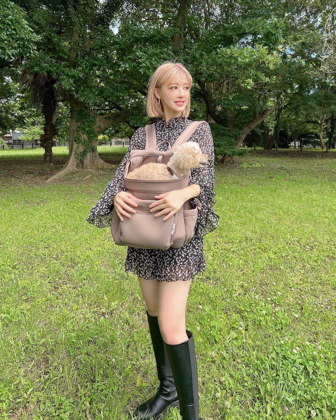 夏焼雅さんのインスタグラム写真 - (夏焼雅Instagram)「🐶🤍  ぴーちゃんは16歳になって お散歩中に抱っこしたり 歩いたりが最近増えてきたの🐩  2.8キロのぴーちゃんでも ずーっと抱っこしてるのは 意外と疲れるので。。🤭 @citydog_official の リュックでとても助かってます✨  カラーもシンプルなデザインで オシャレでお気に入りなんだぁ〜♡ @peace.happy.peace 🤍🪽  #citydog_jp  #シティードッグ」6月10日 19時43分 - miyaaa0825