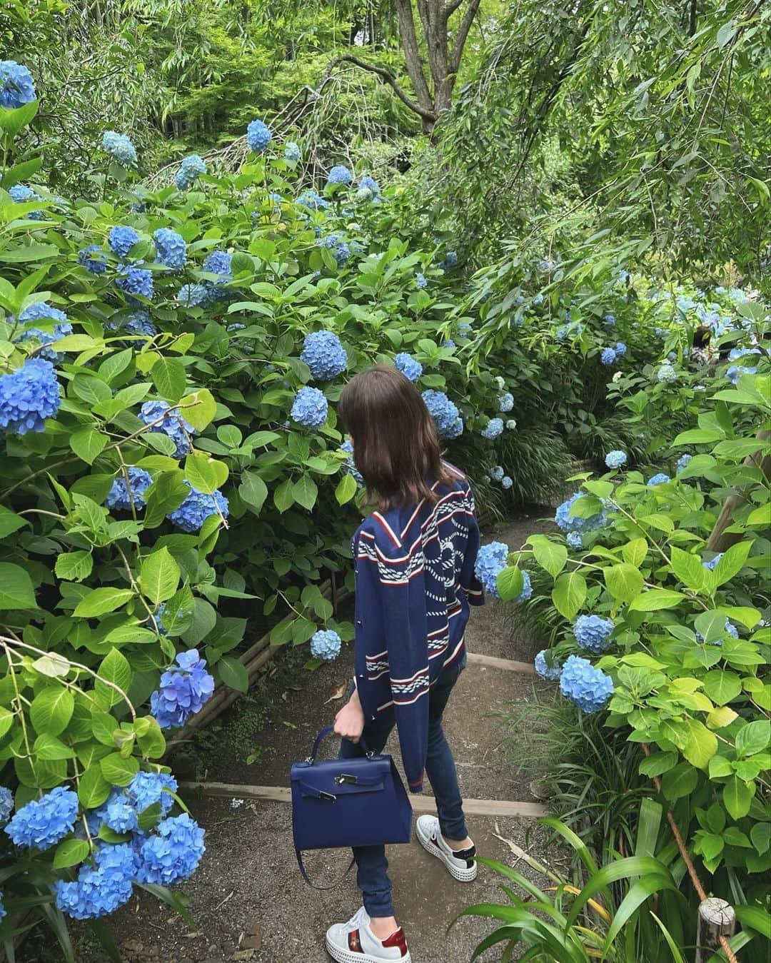 三好ユウさんのインスタグラム写真 - (三好ユウInstagram)「紫陽花の季節になりましたね🪻Hydrangea blooming season arrived. ⁡ ⁡ 散歩がてら明月院へ。 満開はまだ少し先な様子でしたがとても綺麗でした✨  平日昼間は結構な人手だったので 朝早めの時間帯の方がゆっくりできそうです。 ⁡ ⁡ #紫陽花#あじさい#鎌倉観光#鎌倉#旅行好きな人と繋がりたい #タビジョ #ilovejapan #kamakura #kamakurajapan #trip #国内旅行 #japanese#japantravel #trip#tripgram  ⁡#旅游#여행스냅」6月10日 20時49分 - yuu_5240