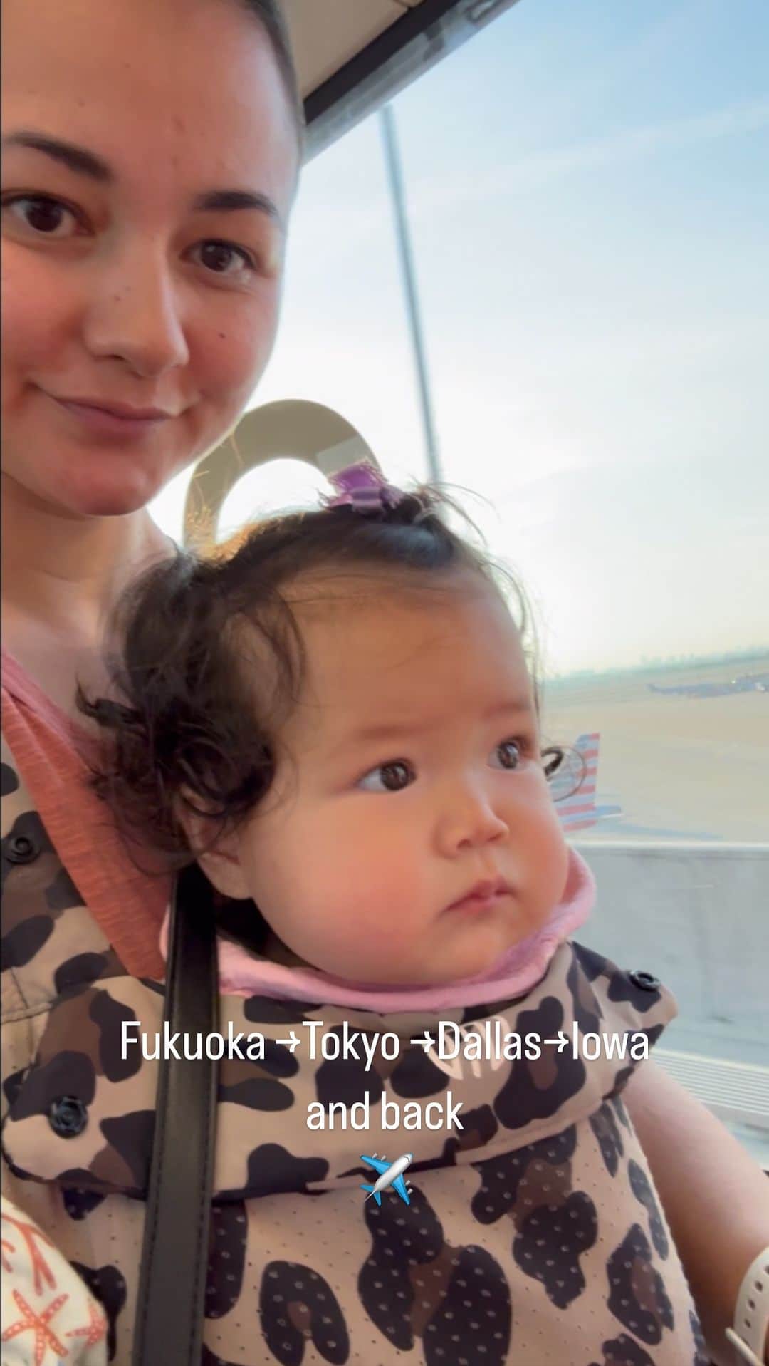 エリナ シルカのインスタグラム：「More than 48 hrs of travel in one week.  すーさんの長時間移動、無事完了✈️✈️✈️」
