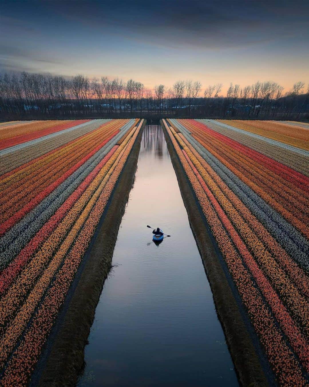 Discover Earthさんのインスタグラム写真 - (Discover EarthInstagram)「Capturing the beauty of the Netherlands, where breathtaking landscapes unfold with stunning lines 🌷  📍 Netherlands  🇳🇱 #DiscoverNetherlands with @sebastien.nagy」6月11日 1時00分 - discoverearth