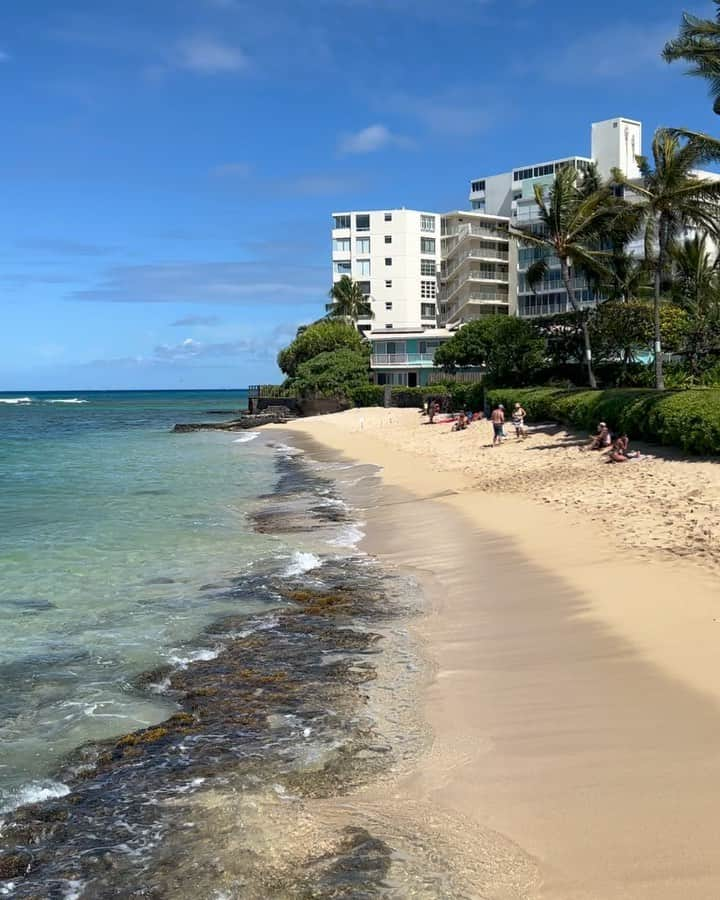 Manoa Love Design Hawaiiのインスタグラム：「Aloha 9:40am beautiful morning🌺🌴just lil walking before work  #manoalovedesign #alohasaturday #alohavibes #hawaiiliving #808life #808living #beautifulmorning #hawaiinature #waikiki #hawaiilove #hawaiivacation #palmtreelife #マノアラブデザイン #マノア#ハワイ生活 #ハワイ在住#ハワイ情報 #ハワイ好き#朝ウォーキング #ハワイ暮らし#おはようございます#ヤシの木のある生活」