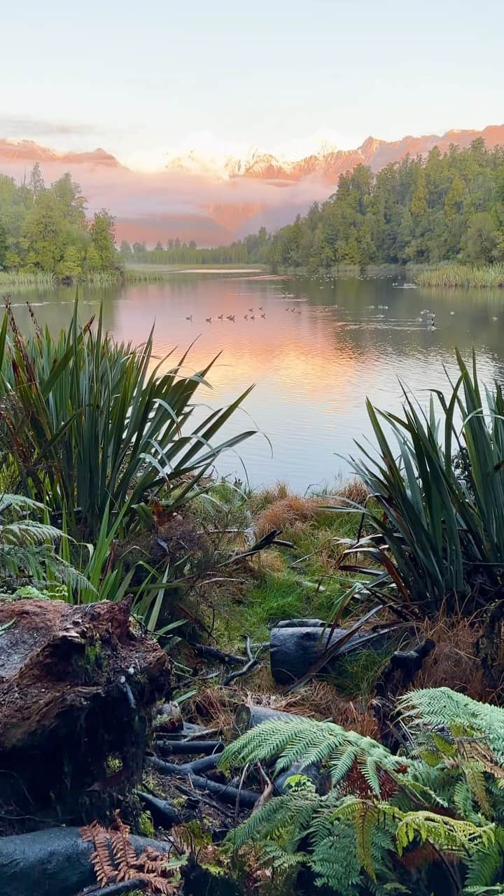 ケイティ・ロッツのインスタグラム：「Little nature break from scrolling #NewZealandNature #NatureLovers #Wanderlust」