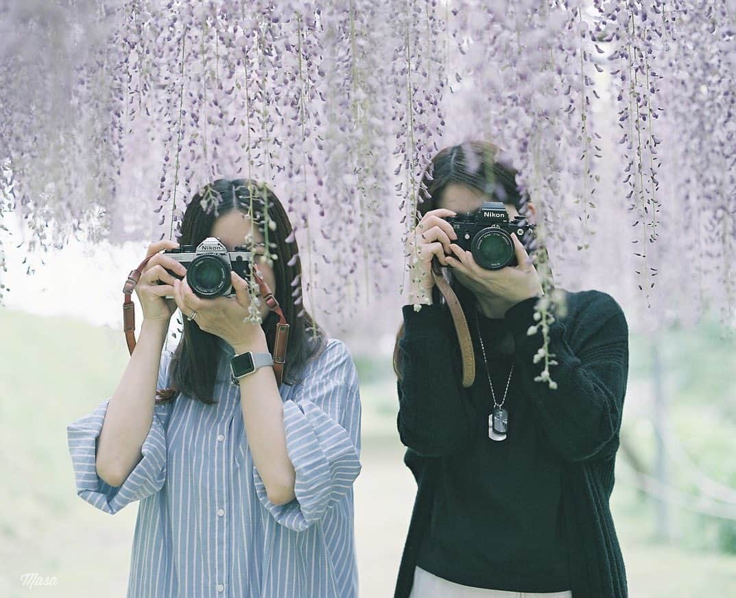 Masaのインスタグラム
