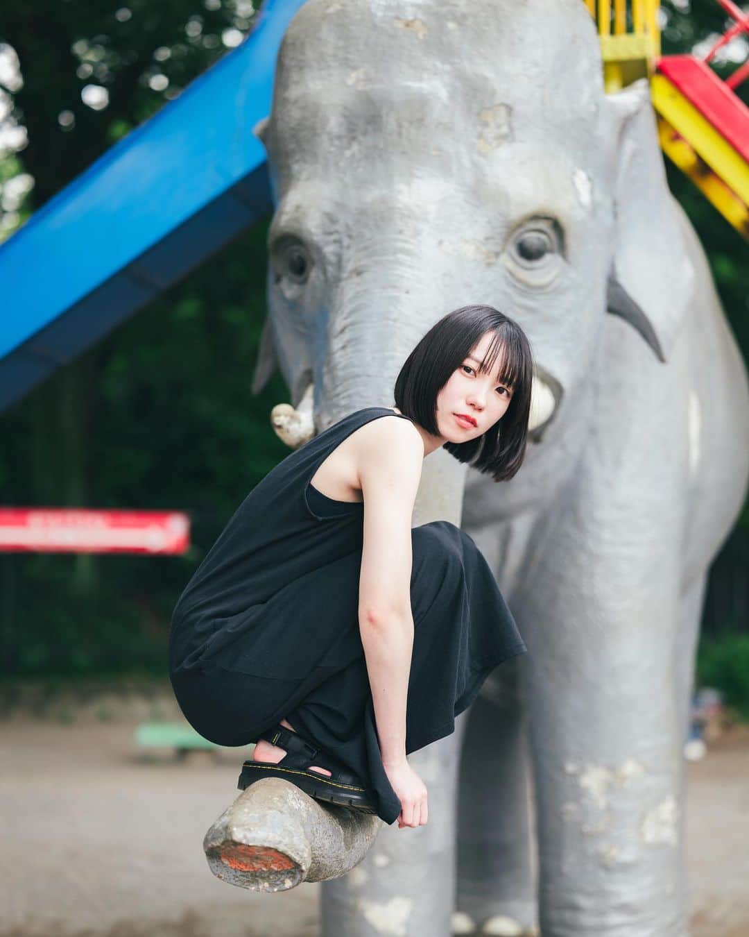 Yuma Takatsukiのインスタグラム：「. . . a day . . . . . . ここの象ってかなりリアルだよね。 6月は結局全然作品撮りはできなさそうだから 7月こそ行きたい…！ 平日でも行ける人探さないとな。 ⁡ それでは今日もお疲れさまでした！ . Tokyo／Japan LUMIX S1R／LUMIX S 50mm F1.4 . -----------------------------------------  ITTOKO写真展『ほな、いっとこ！』 vol.4 　　　　　　　　　　　　　　　〜FIND〜  会期 : 2023.06.28(水)〜07.03(月) 時間 : 12:00〜20:00 　　　(初日は14:00~,最終日は18:00迄) 場所 : イロリムラ 2F 〒 530-0016 大阪府大阪市北区中崎1丁目4番15号  ----------------------------------------- . . ―――――――――――――――――――――――――― 関西を中心にフリーランスで活動しています。 Web広告、個人撮影、家族撮影、PR撮影など、 6月以降の撮影依頼募集中です。 ⁡ ⁡Yuma Takatsukiオリジナルプリセットも販売中です。 ⁡プロフィールのポートフォリオサイトからご覧下さい。  またフォトサークルITTOKOという活動をしています。 ⁡ハイライトに色んなイベントをまとめています。 ――――――――――――――――――――――――――」