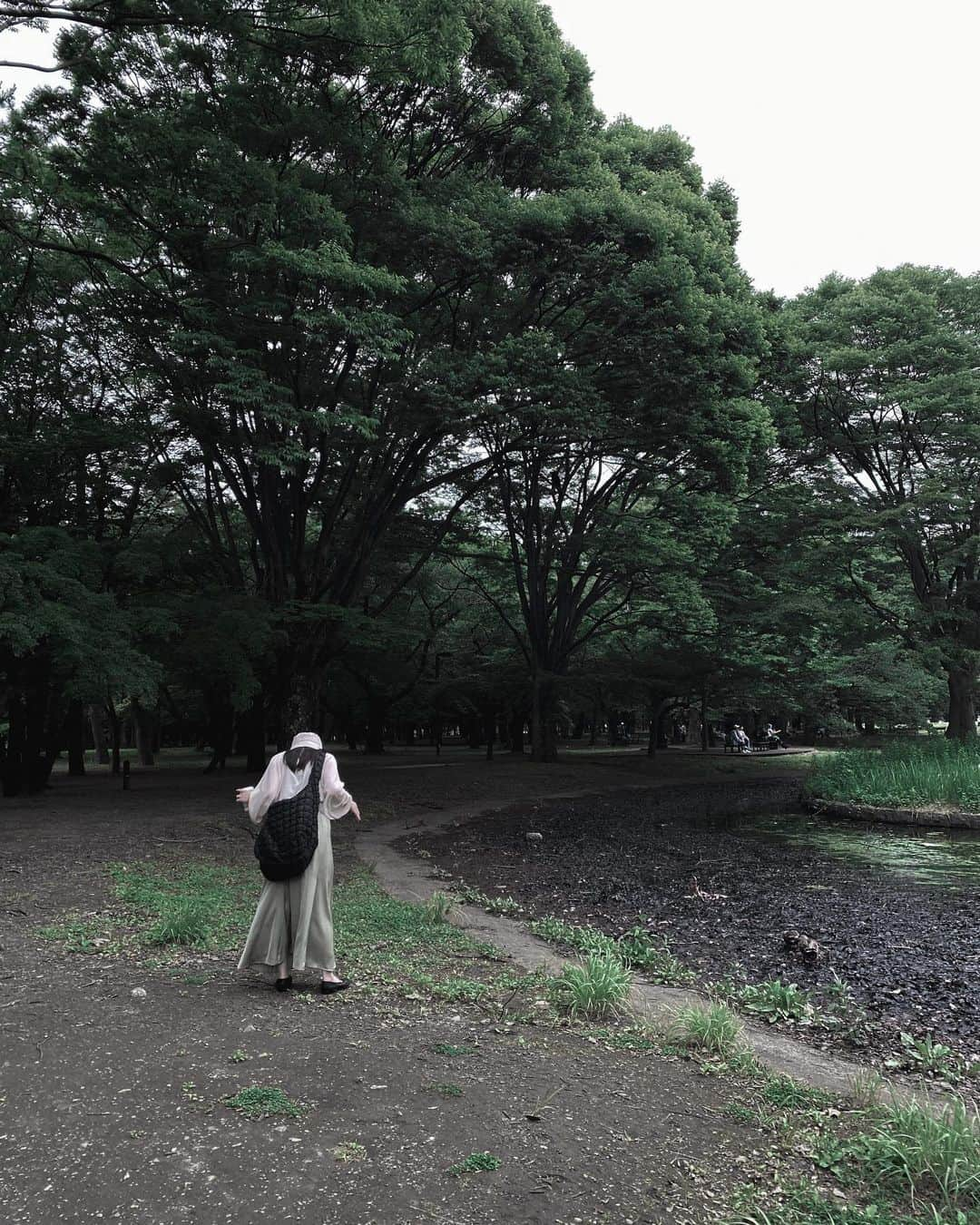 大園桃子さんのインスタグラム写真 - (大園桃子Instagram)「⁡ ⁡ June . ☔️🌧 ⁡ 暑さに弱すぎて、すぐにバテてしまう毎日、 いかに外に出ず過ごせるかというところが勝負。 ⁡ ですが、最近一つ 夏の楽しみができました。 ⁡ 今年はいろんな所に行って 沢山の緑を見たい、森林浴したい〜 ⁡ 雨の日の緑は深くてもっとすき。 ⁡ ⁡」6月11日 0時18分 - o.momoko_official