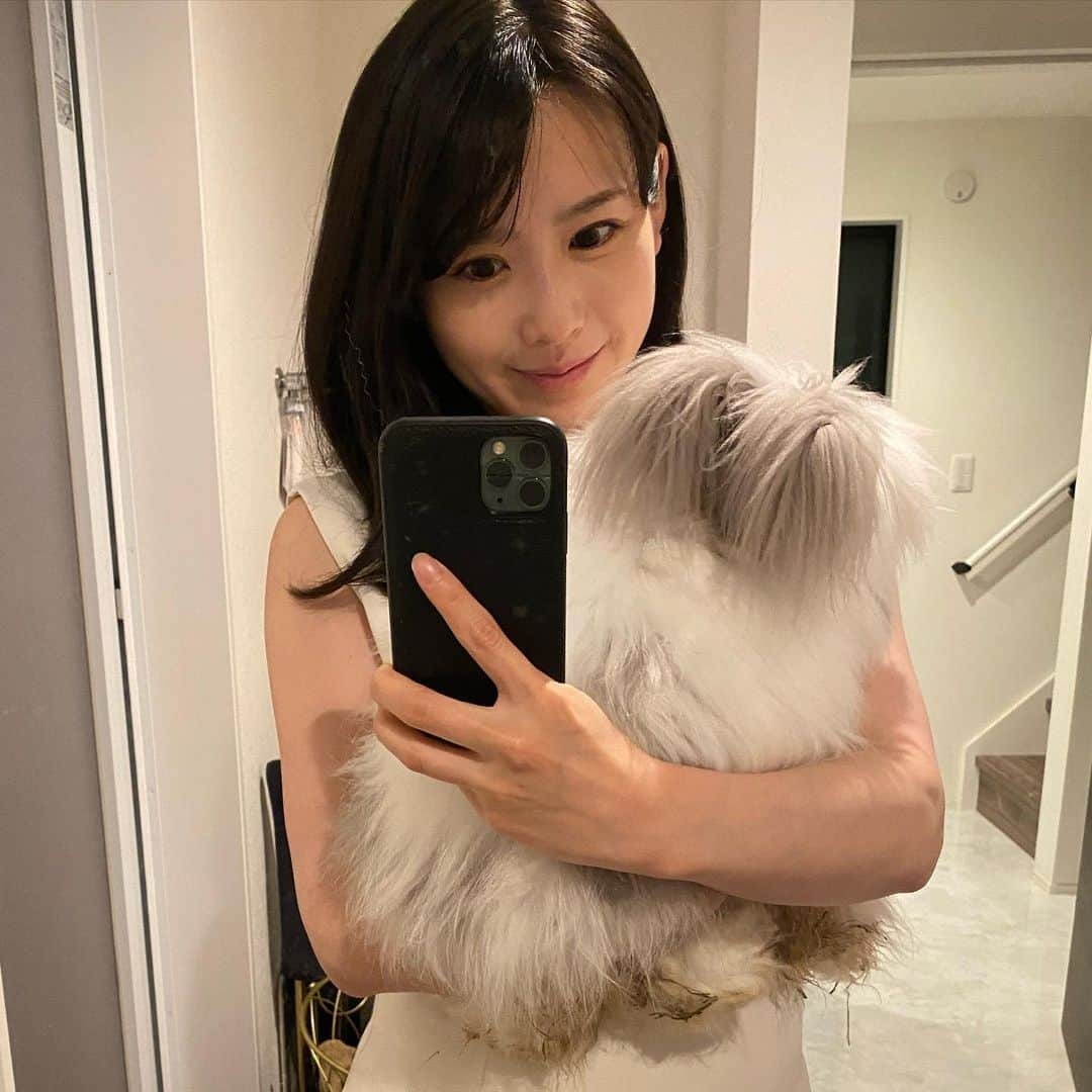 玉木碧さんのインスタグラム写真 - (玉木碧Instagram)「うちの長女🐰リオンちゃん。  もっっふもふになっていたのでセルフトリミング。 写真はもちろんbefore。笑 分かりにくいけど後ろ姿です。笑  かわいいからモフモフのままにしておきたかったけど、蒸し暑いからねぇ、、  うちのうさぎ達は羊と同じく毛が伸び続けて絡まって蒸れてしまうのですよ😅  #イングリッシュアンゴラ #長毛種 #うさぎ #もふもふ #うさぎのいる暮らし  #うさぎ好きさんと繋がりたい」6月11日 1時14分 - tamaki_aoi.official