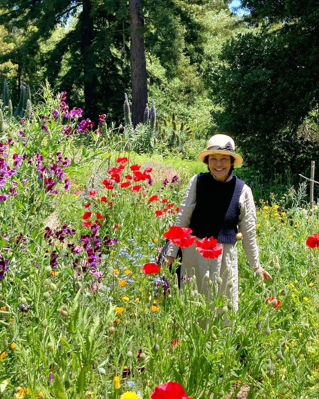 下條ユリのインスタグラム：「カリフォルニアの植物と人間の関係から学んだこと  Plants and flowers in California have shown me how to live life to the fullest and the grandest possibilities you could ever imagine. Their phoenix-like power gave me hope through their adaptable confidence.   The Apocalyptic Orange Sky NY woke me up in a nightmare again, but I learned in California how critical the reciprocal relationships of humans and nature are, with nurture and care, and paying attention to REBIRTH.  Pictures  1) Happy me by @kimurikimur  2) 10) Blake Garden UC Berkeley  3)4) I 🩷 Bolinas   5)6) Rescued, fostered, and beautified plants for the community by my miracle girl Andi @andixoch at @latinxwithplants . Last time I hung out with her, she was a leader of a legendary bike gang Ovarian Psychos. Now she is blooming even fuller! Big respect sister 🤜🏼🌱🤛🏼  7) Irradiated and mutated daisies by Megan Gafford at Jones Institute, @jones_institute WOW! 🙌🏼  8) 9) Flower Essence of Forget Me Not ( with Rudy💙🩵) prepared by dear Pai chan with so much love 💚@mighty_thoughtful_medicine   #CaliforniaPlants」