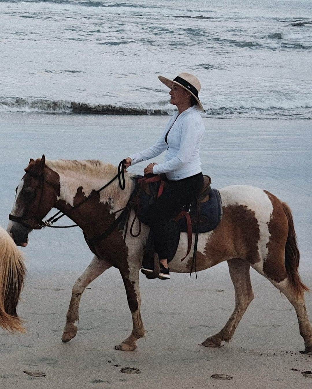ジェーン・シーモアさんのインスタグラム写真 - (ジェーン・シーモアInstagram)「Saddle up, it’s time for the mane attraction! 🐎😄 Connecting with these beauties and taking them out for a little beach walk. 🥰」6月11日 4時06分 - janeseymour