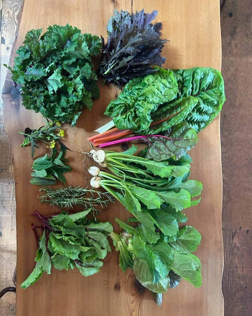 サイモン・ネスマンのインスタグラム：「First harvest of the season from the gardens @cedarcoastcentre」