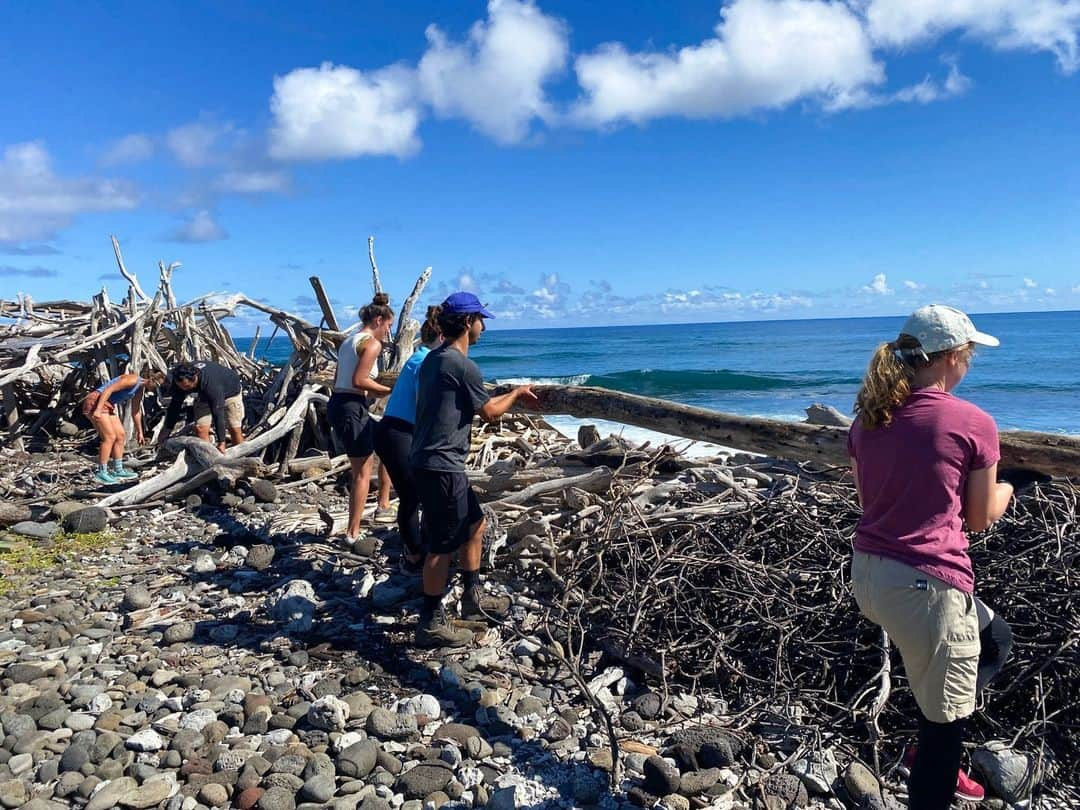 ハワイアン航空さんのインスタグラム写真 - (ハワイアン航空Instagram)「From preserving rare plants at Haleakalā crater to caring for coastal dunes, there are so many diverse volunteer activities in Maui.🤝🌱 Discover the beauty of travel pono while exploring the island’s hidden gems. Check out Maui's voluntourism activities at the link in our bio.🌴  Featured in this post is @hilandtrust, Hawaii’s island-wide non-profit and nationally accredited land trust. They protect integral lands, fostering community connection through thoughtful stewardship.  #TravelPono #MalamaHawaii #Hawaii #Maui #Travel #ResponsibleTravel #SustainableTravel #HawaiianAirlines」6月11日 5時03分 - hawaiianairlines