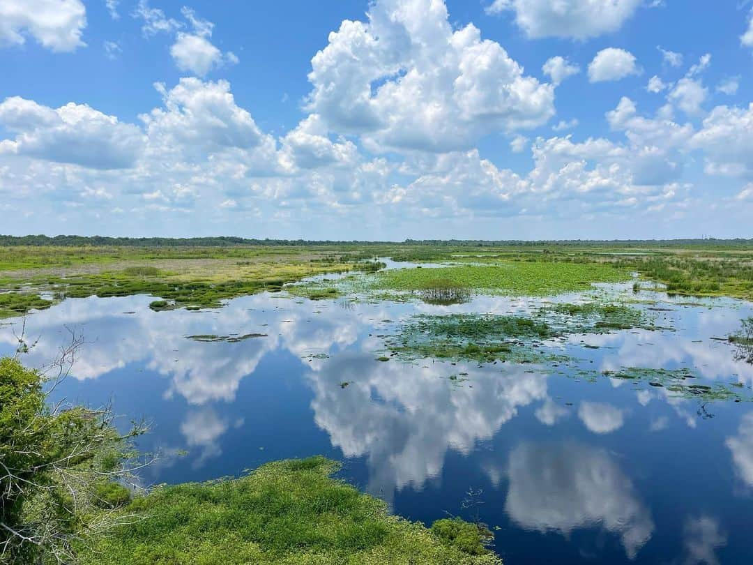 ハリー・シャム・ジュニアのインスタグラム：「Cloud storage for free. Drips of nature for the soul y’all.」