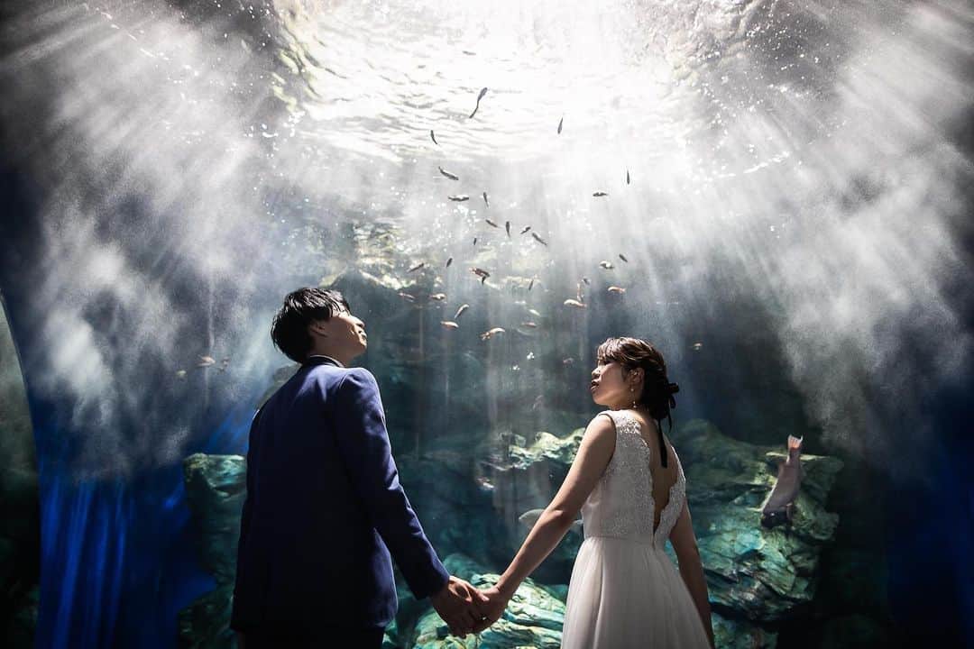 ラヴィ•ファクトリーさんのインスタグラム写真 - (ラヴィ•ファクトリーInstagram)「. 【写真で叶える結婚式】 . 水族館でのウェディングフォト🐬  ダイナミックな大水槽やライトアップされた水槽の前で あえて逆光で撮影することで幻想的なフォトに✨  日常を忘れるような一瞬を残しませんか？🫧 . —————— ラヴィファクトリー: @fukuoka_laviephotography Photographer: ＠aki_batakanobu AREA:JAPAN,FUKUOKA —————— @laviefactoryをフォローして #laviefactory #ラヴィファクトリー のハッシュタグをつけて お写真を投稿してみてくださいね✳︎ . こちらの公式IG（@laviefactory） で取り上げさせていただきます✨ . 思わず笑顔になれるハートのある 「家族写真」はラヴィクルール* >>>@laviecouleur_official . #wedding #weddingphotography #photo  #ハートのある写真 #instawedding #結婚写真 #ウェディング #ウェディングフォト #撮影指示書 #ロケーションフォト #前撮り#写真好きな人と繋がりたい #フォトウェディング #卒花 #後撮り #ウェディングニュース #前撮り小物 #前撮りフォト #前撮りアイテム #ウェディング撮影 #撮影構図 #前撮りアイディア #撮影指示書 #花嫁コーディネート #水族館 #洋装ロケフォト #マリンワールド水族館 #水族館フォト」6月11日 17時32分 - laviefactory